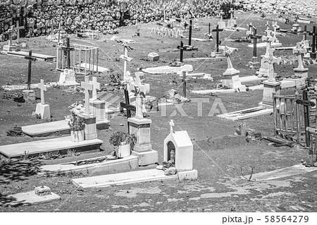 Headstones at a Pet Graveyard cementary in Tenerife for animals Headstones at a Pet Graveyard cementary in Tenerife for animals 58564279