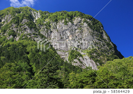 北アルプス　穂高連峰縦走　横尾谷登山道から屏風岩の岩壁を仰ぎ見る 58564429