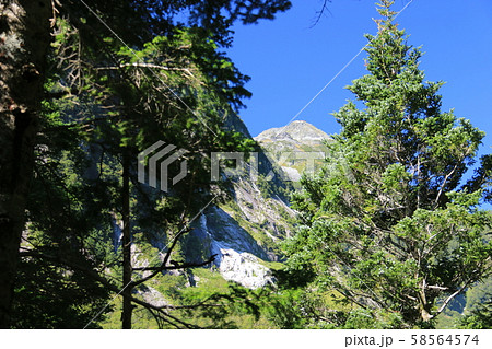 北アルプス 穂高連峰縦走 横尾谷登山道 本谷橋から北穂高岳を仰ぎ見る 北アルプス 穂高連峰縦走 横尾谷登山道 本谷橋から北穂高岳を仰ぎ見る 58564574