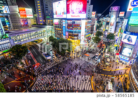 渋谷のスクランブル交差点 夜の写真素材