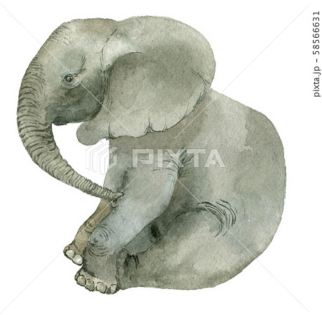 Sitting Funny Elephant Stock Illustration