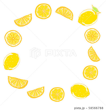 手描きのレモンのイラスト素材