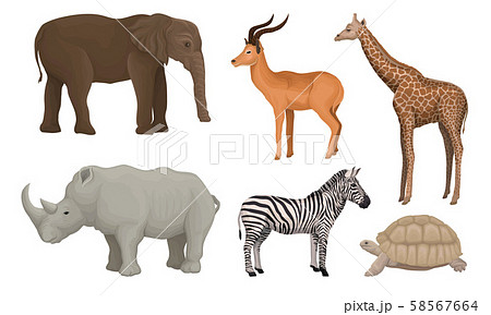 African Area Habitants Drawn In Realistic Manner Vector Illustrations 58567664