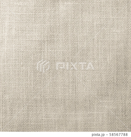 Hessian sackcloth woven texture pattern background in light sepia tan brown color tone 58567788