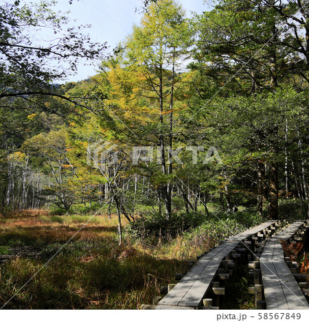 上高地　紅葉　長野県 58567849