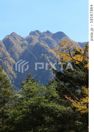 上高地 紅葉 長野県 上高地 紅葉 長野県 58567864