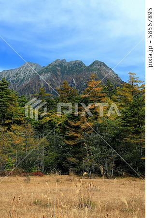 上高地 紅葉 長野県 上高地 紅葉 長野県 58567895