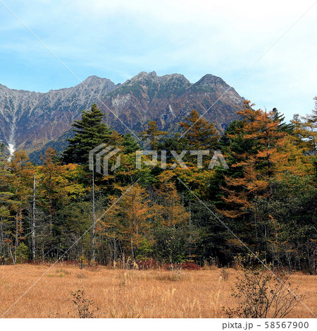 上高地 紅葉 長野県 上高地 紅葉 長野県 58567900