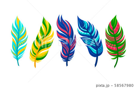 Bright Colorful Feather Isolated Items Vector Collection 58567980