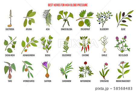 Best herbs that lower high blood pressure 58568483
