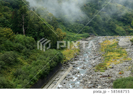 称名の滝　富山県 58568755