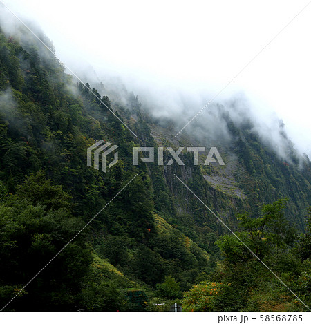 称名の滝　富山県 58568785