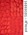 cement wall with Red fish scale wall 58569895