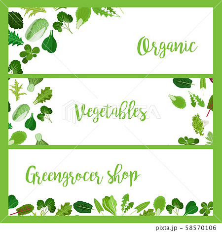 Organic horizontal banners with salad leaves 58570106