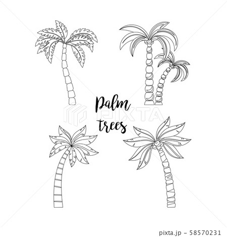 Palm trees set for coloring book Palm trees set for coloring book 58570231