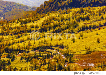 朝日に照らされる芳ヶ平湿原の紅葉・日本国道標高最高地点から 朝日に照らされる芳ヶ平湿原の紅葉・日本国道標高最高地点から 58570696