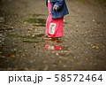 木 森 屋外 58572464