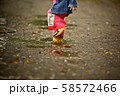 木 森 屋外 58572466