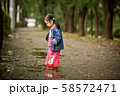 木 森 屋外 58572471