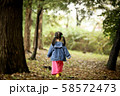 木 森 屋外 58572473