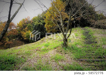 山頂で昔の時代へワープできそうな秘密の扉を見つけた 山頂で昔の時代へワープできそうな秘密の扉を見つけた 58572776