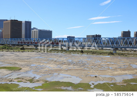 令和元年台風19号ハギビスの爪痕　多摩川 58575614