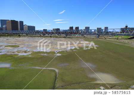 令和元年台風19号ハギビスの爪痕　多摩川 58575615