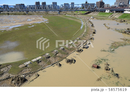 令和元年台風19号ハギビスの爪痕 多摩川 令和元年台風19号ハギビスの爪痕 多摩川 58575619