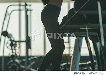 gym gym 58575627