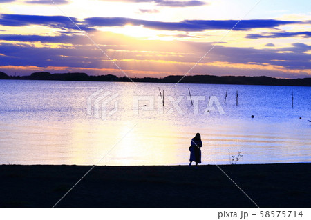 夕方の霞ヶ浦 夕方の霞ヶ浦 58575714
