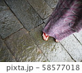 和 和 58577018