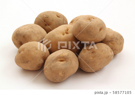 じゃがいも(男爵) じゃがいも(男爵) 58577105