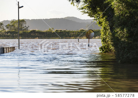 冠水　道路　水没　通行止め　危険 58577278