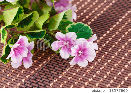 Flowers 58577660