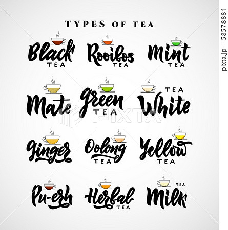 Set different types of name of tea. Hand calligraphy lettering. Vector illustration. 58578884