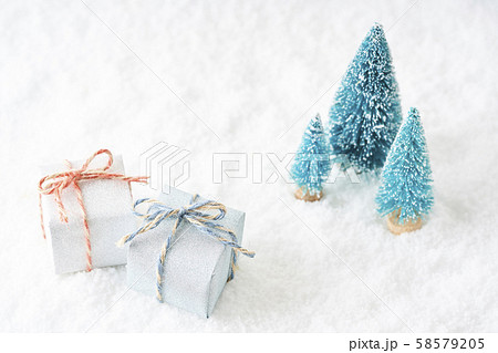 雪とミニツリー 58579205