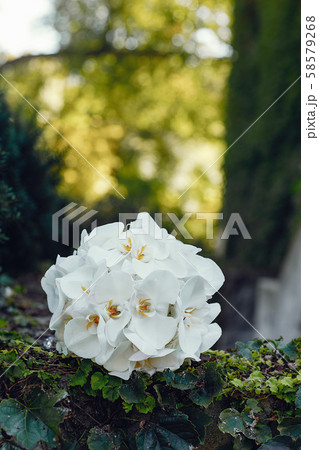 Elegant wedding bouquet Elegant wedding bouquet 58579268