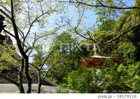 四国八十八カ所霊場 医王山 無量寿院 薬王寺 四国八十八カ所霊場 医王山 無量寿院 薬王寺 58579519