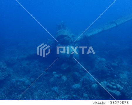 パラオの海底に眠る零式水上偵察機 58579878