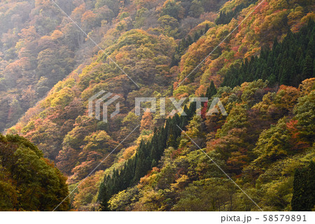 紅葉の大内宿 紅葉の大内宿 58579891