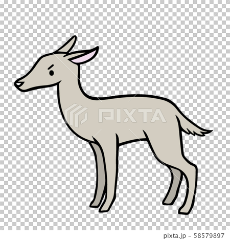 Angry face deer 58579897