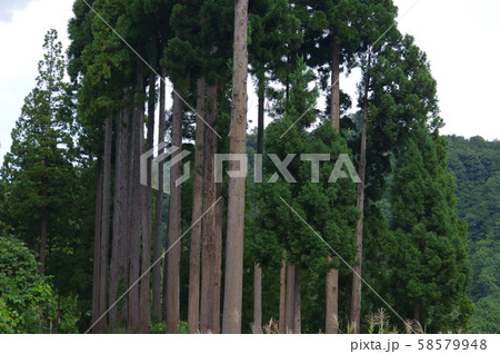 留守原の棚田 留守原の棚田 58579948