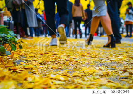 神宮外苑いちょう並木の銀杏と人々の足 58580041