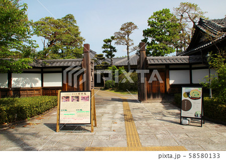 掛川城･竹の丸/静岡県掛川市掛川1200 58580133