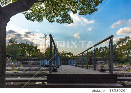 夕焼け 仙遊島 仙遊島公園 58580264