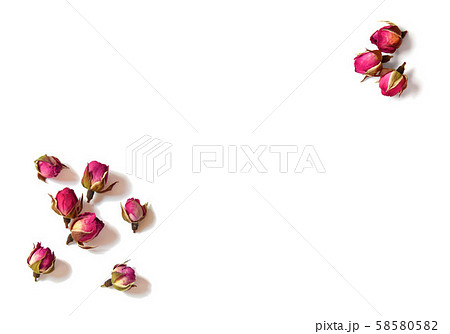 Rose Buds Dried Flowers Rose Bud Stock Illustration