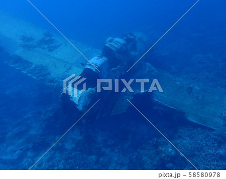 パラオの海底に沈んだ零式水上偵察機ジェイク 58580978