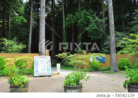 御殿場市　秩父宮記念公園正門前 58582129