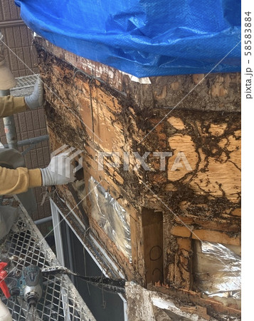 シロアリ工事 58583884