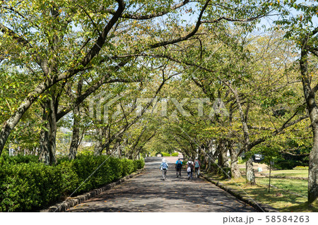 花畑園芸公園 58584263